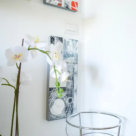 Homiday - Mykonos Appartement